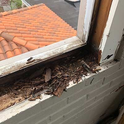 Termite Damaged Window Frame
