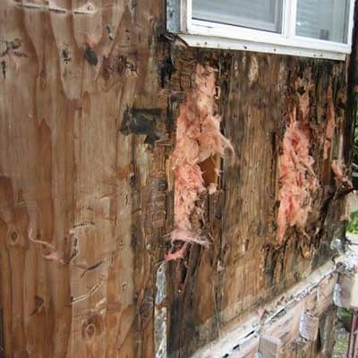Water Damaged Walls